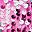 Fuschia