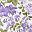 Plum Floral