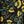 Black Floral
