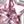 Sterling Pink