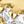 Gold Tone White
