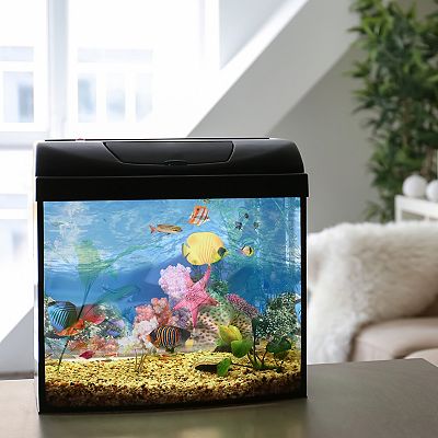 Imported fish tank fashion price