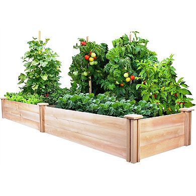 Cedar Wood 2-ft X 8-ft Outdoor Raised Garden Bed Planter Frame