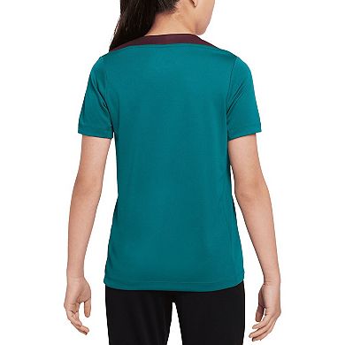 Youth Nike Teal Paris Saint-Germain 2024/25 Strike Training Top