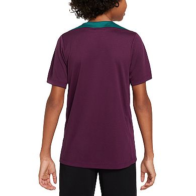 Youth Nike Burgundy Paris Saint-Germain 2024/25 Strike Training Performance Top