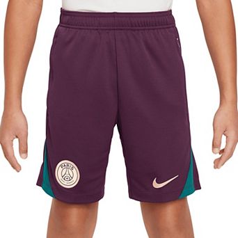 Youth Nike Burgundy Paris Saint-Germain 2024/25 Strike Performance Shorts