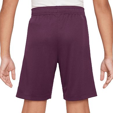 Youth Nike Burgundy Paris Saint-Germain 2024/25 Strike Performance Shorts