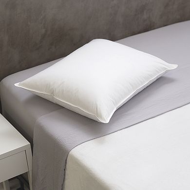 Theradown™ by Therapedic™ Natural Feather & Down Pillow