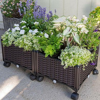 2-Piece Raised Garden Planter Box Set with Wheels Self-Watering Indoor Outdoor Planters, Brown