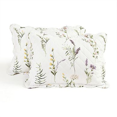 Lush Decor Watercolor Wildflower Scallop Edged Floral Quilt Set