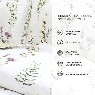 Lush Decor Watercolor Wildflower Scallop Edged Floral Quilt Set
