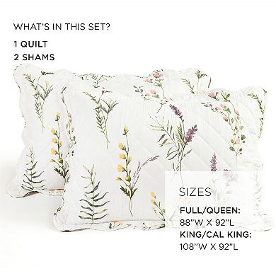 Lush Decor Watercolor Wildflower Scallop Edged Floral Quilt Set