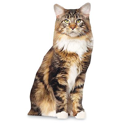 Catstand sale