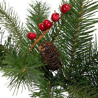 Northlight 25-ft. Real Touch™ Noble Fir Commercial Christmas Garland with Berries