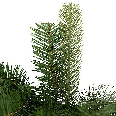 Northlight 25-ft. Real Touch™ Noble Fir Commercial Christmas Garland with Berries