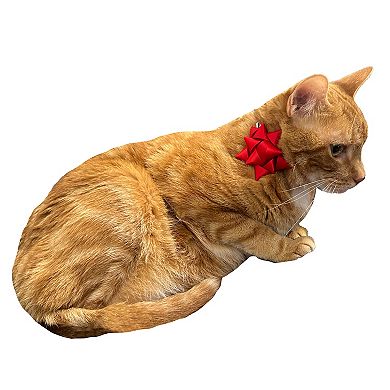 Meow Puff Bow Cat Collar