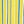 Primrose Yellow Sunny