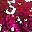 Confetti