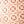 Ivory Mosaic