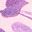 Sunset Mauve Floral