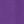 Purple Orchid