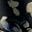Black Abstract Dot