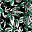 Black Green Leaf Print