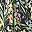 Black Pastel Floral