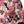 Dusty Pink Print