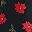 Black Poinsettia