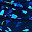 Blue Floral
