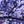 Purple Abstract