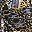 Gold Black Foil
