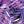 Palmtastic Purple