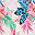 Pink Lemonade Tropical