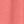 Sweet Coral