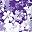 Midnight Violet