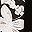 Black Blossom
