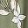 Pine Blossom