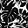 Black Palm
