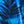 Blue Electric Palm