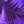 Purple Feather Print