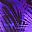 Purple Feather Print