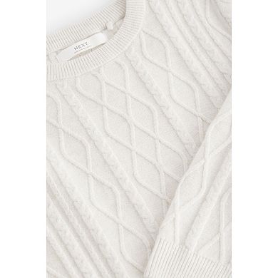 Boys 4-12 NEXT Crew Cable Knit Sweater