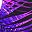 Purple Electric Palm