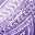 Plum Burst Chevron