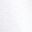 White Logo 2