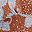 Fall Paisley Copper