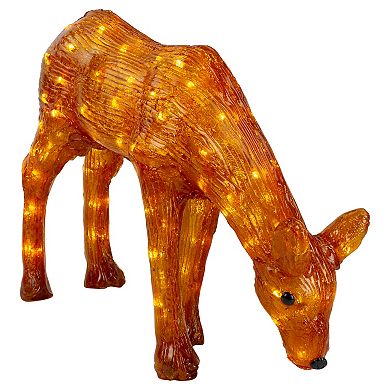 Northlight LED Lighted Acrylic Reindeer Outdoor Christmas Decoration