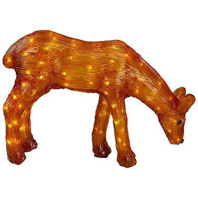 Northlight LED Lighted Acrylic Reindeer Outdoor Christmas Decoration